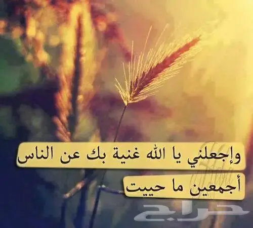 دروس خصوصية ممتازة - ابتدائي وثانوي وجامعة