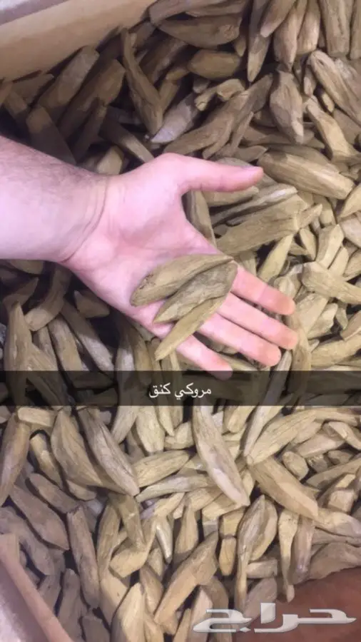 عود بخور للهدايه ومناسبات وزواجات ومساجد (image 6)