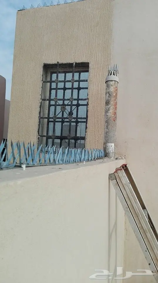 شركة تركيب طارد حمام مكافحة الحمام تركيب شبك