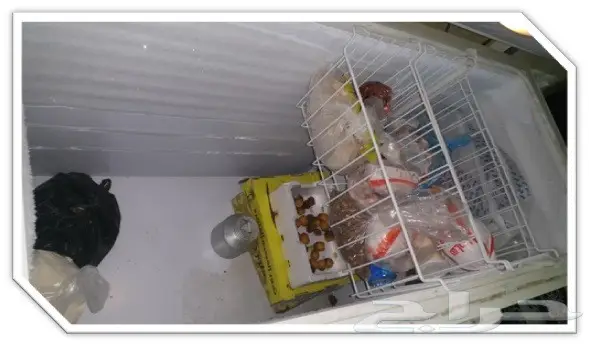 ثلاجة فريزر  (image 1)