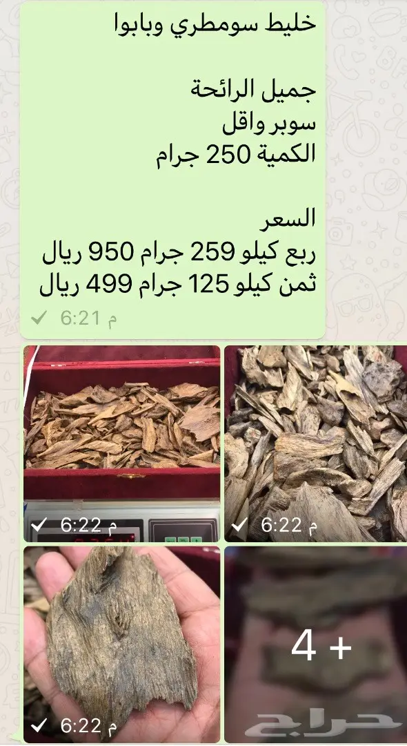 عود جميل بسعر جميل  (image 6)