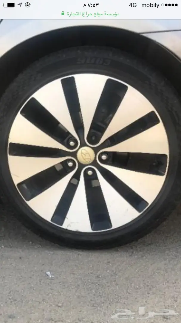 جنوط اوبتما 