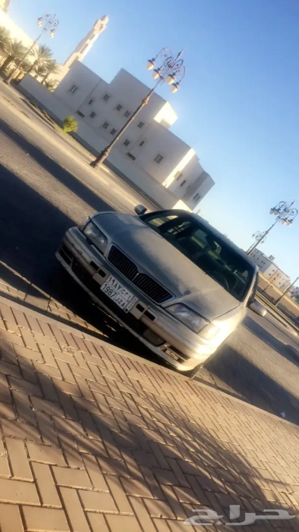 مكسيما 99  (image 1)