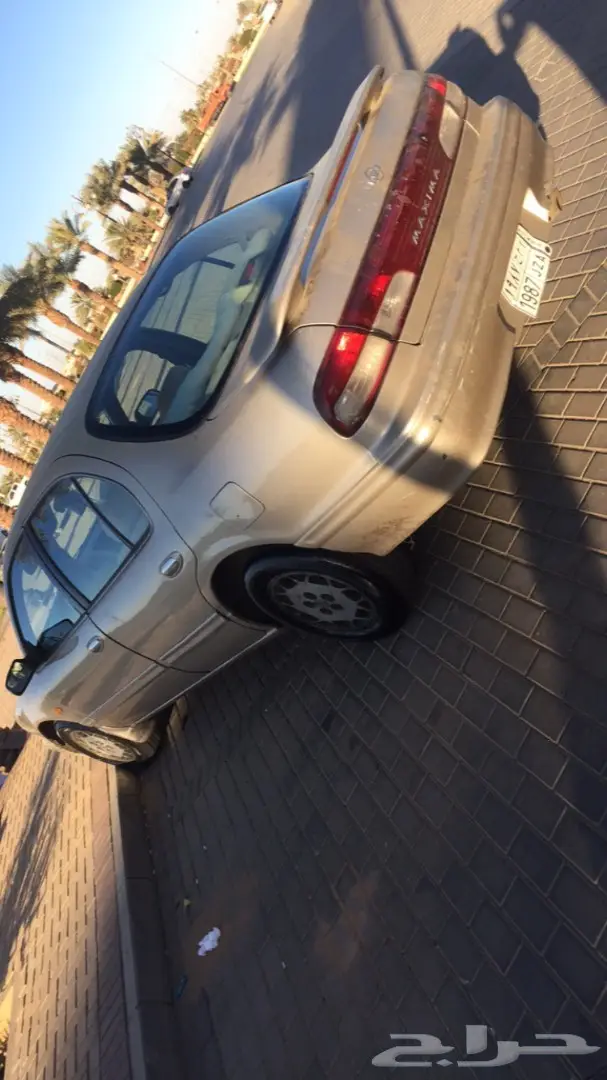 مكسيما 99  (image 2)