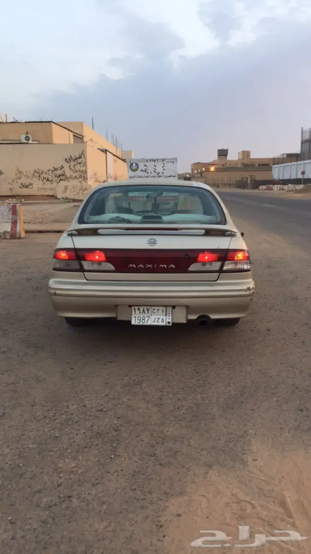 مكسيما 99  (image 3)