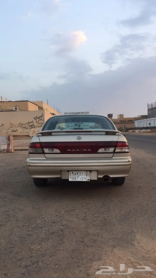 مكسيما 99  (image 4)