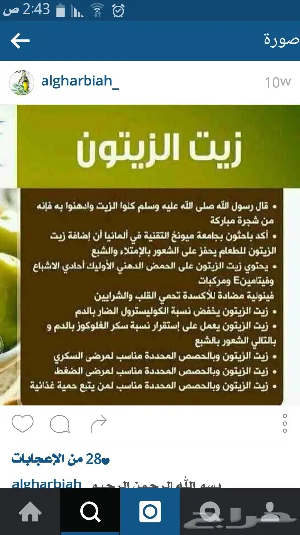 زيت زيتون فلسطيني أصيل - عصرة أولى بكر ممتاز (image 20)