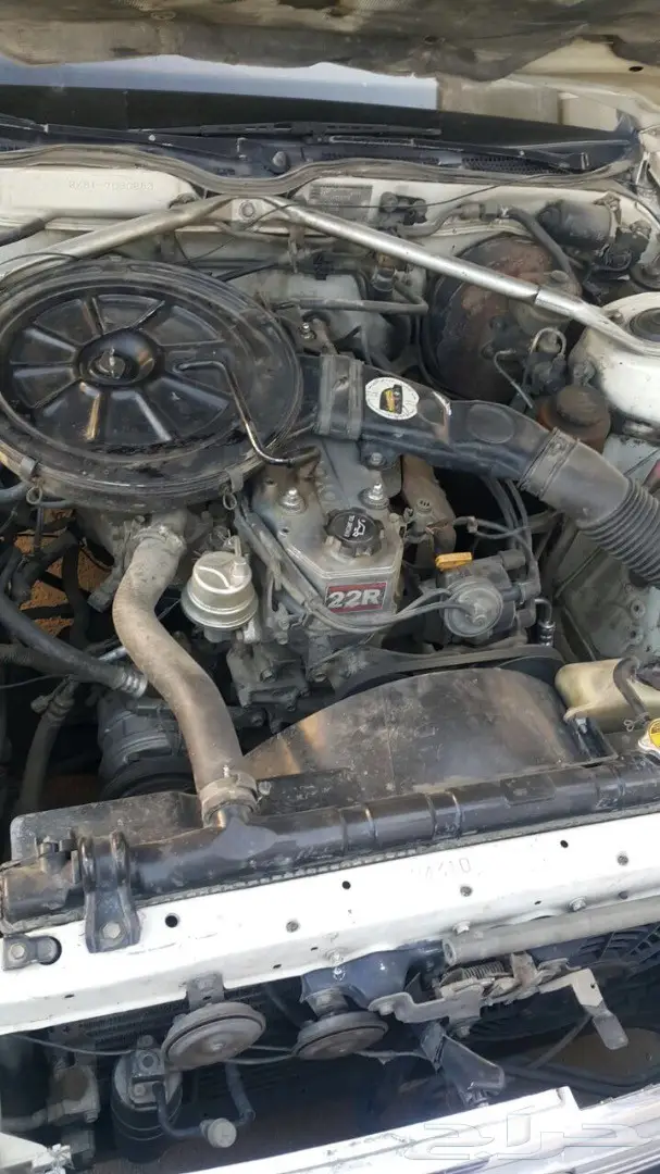 كرسيدا 95 بودي بلد (image 3)