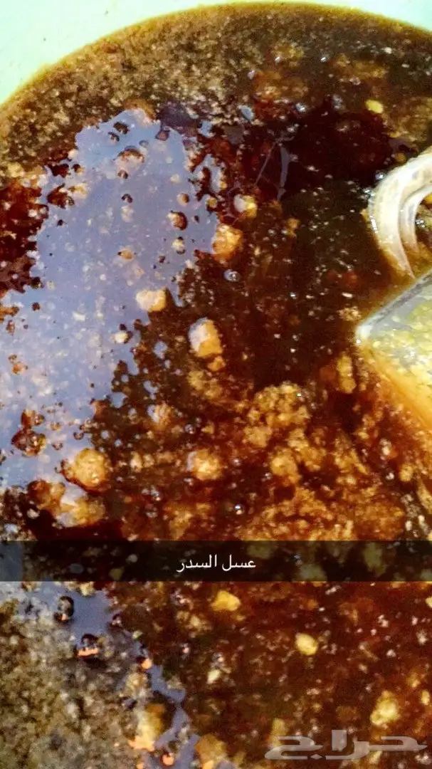 عسل سدر مضمون على الشرط 10 الاف اذا مغشوش  (image 15)