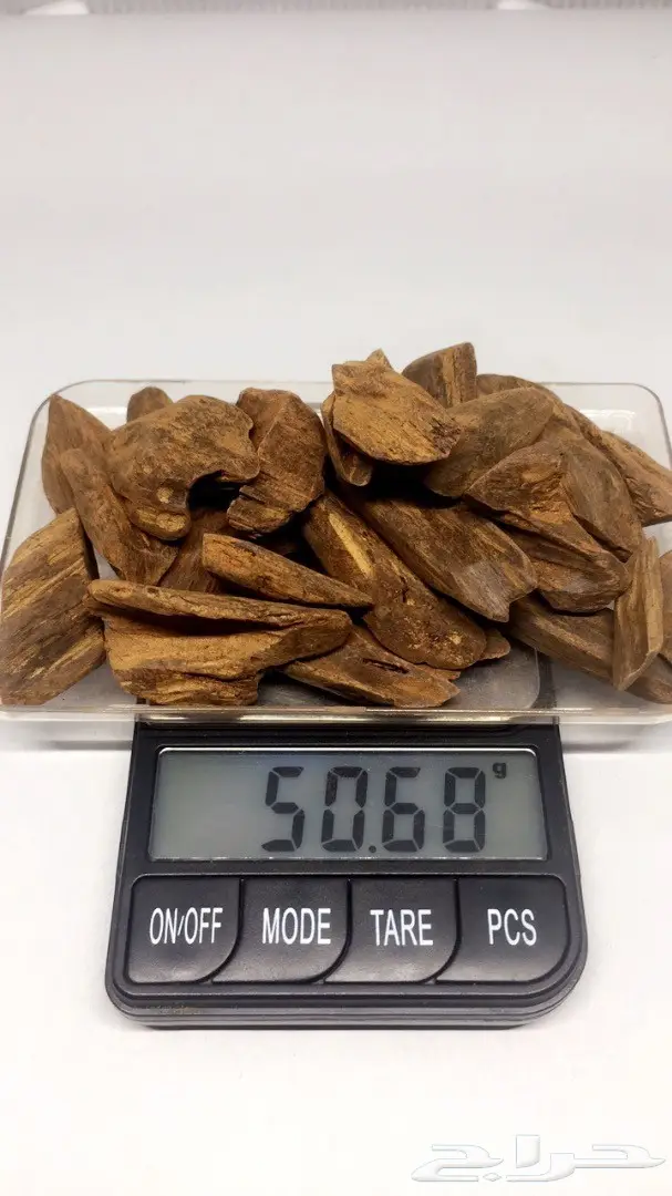 مزاد اخر سومه نصيبه لمحبين العود الماروكي