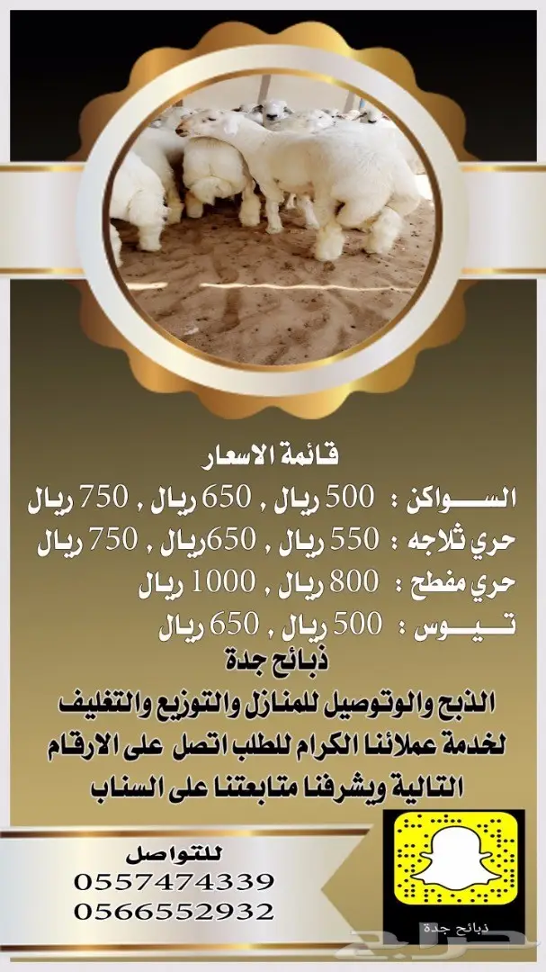 ذبائح حري وسواكني وتيوس انظر لتقيم والردود (image 9)