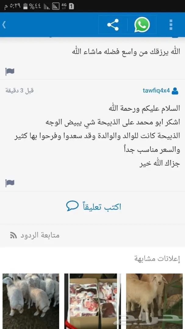 ذبائح حري وسواكني وتيوس انظر لتقيم والردود (image 14)