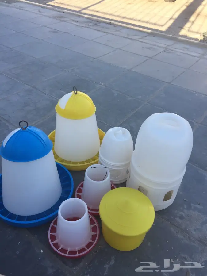 سقايات ماء ومعالف حبوب للحمام والدجاج (image 1)