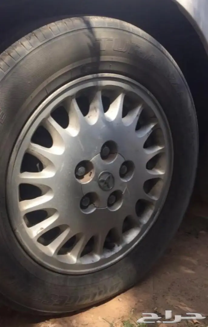 كرسيد جنوط وقشره (image 4)