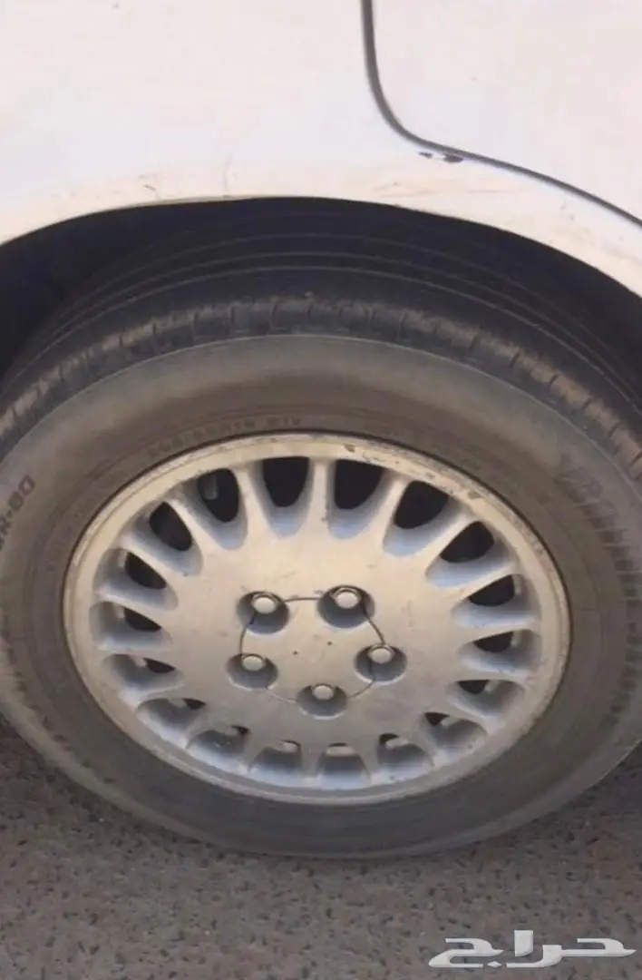 كرسيد جنوط وقشره (image 2)