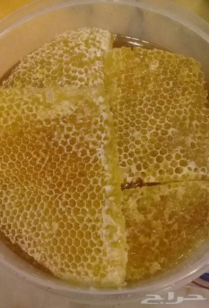 ام ريان لأجود وافضل أنوع العسل (image 5)