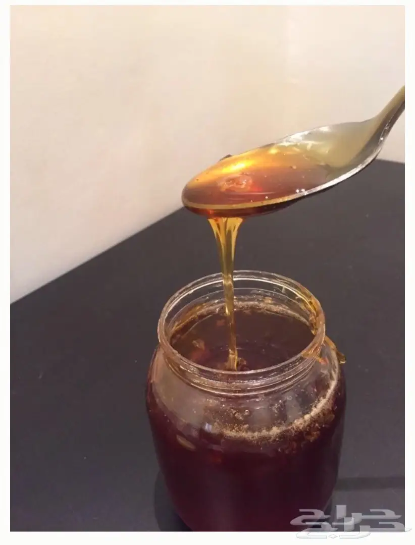 عسل سدر للبيع 