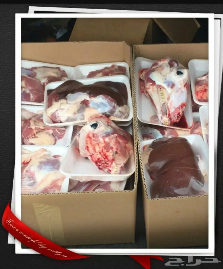 ذبائح حري وسواكني وتيوس انظر لتقيم والردود (image 2)