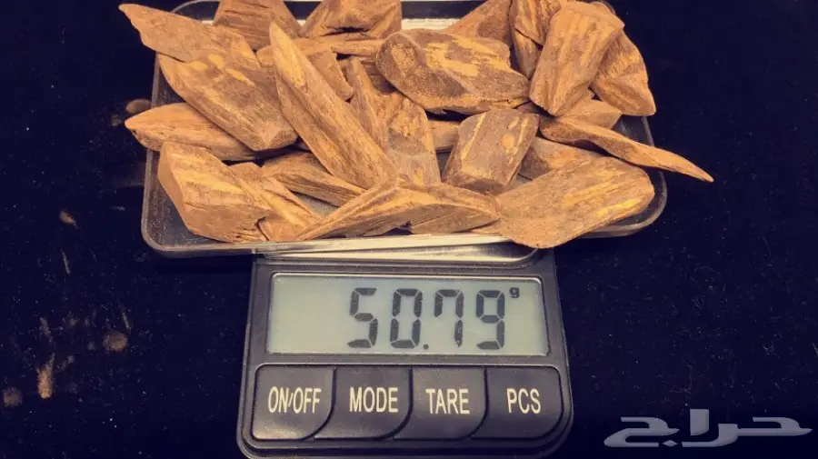 مزاد اخر سومه نصيبه لعشاق العود 