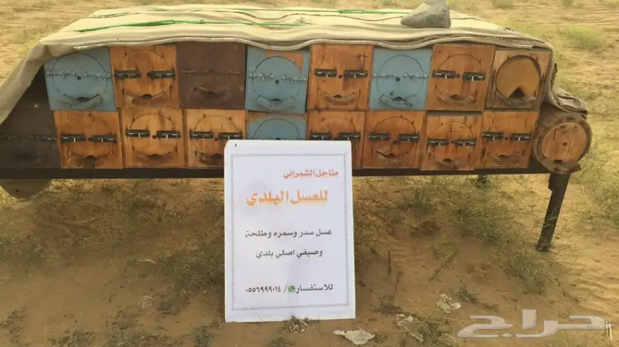 عسل سدر مضمون على الشرط 10 الاف اذا مغشوش  (image 2)