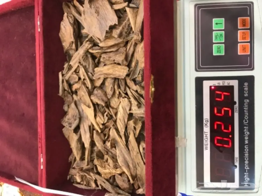 عود جميل بسعر جميل 