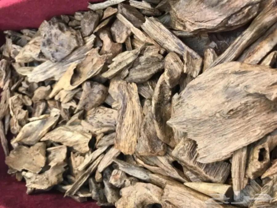 عود جميل بسعر جميل  (image 1)