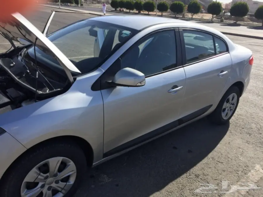 فلوانس 2014 (image 5)