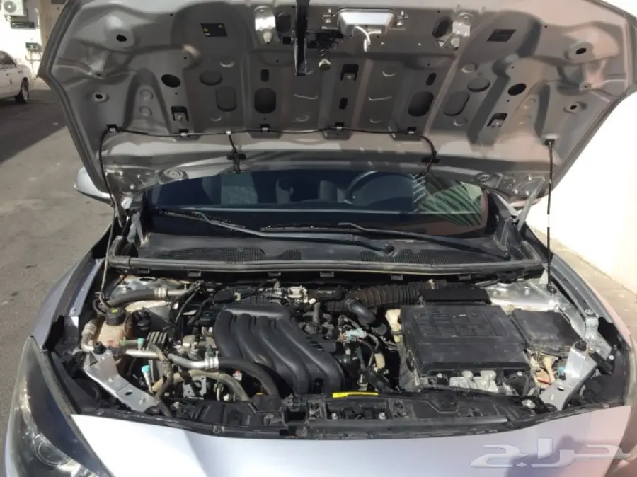 فلوانس 2014 (image 23)