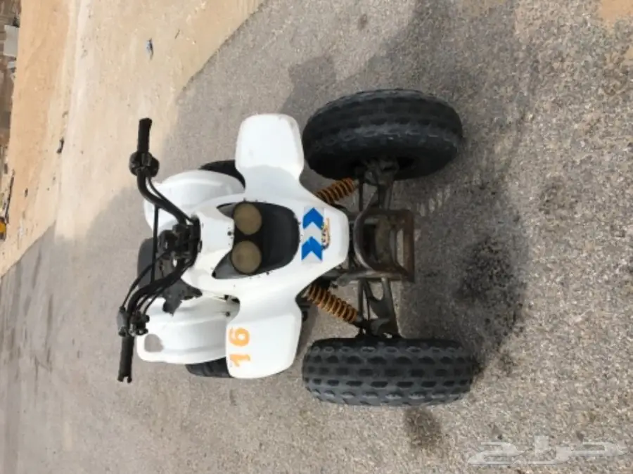 دباب صحراوي 4 كفرات النوع الممتاز رام للبيع (image 2)