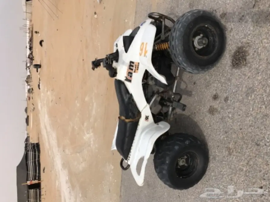 دباب صحراوي 4 كفرات النوع الممتاز رام للبيع (image 3)