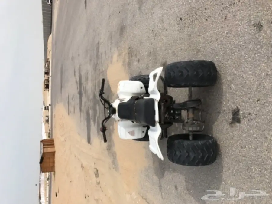 دباب صحراوي 4 كفرات النوع الممتاز رام للبيع (image 4)