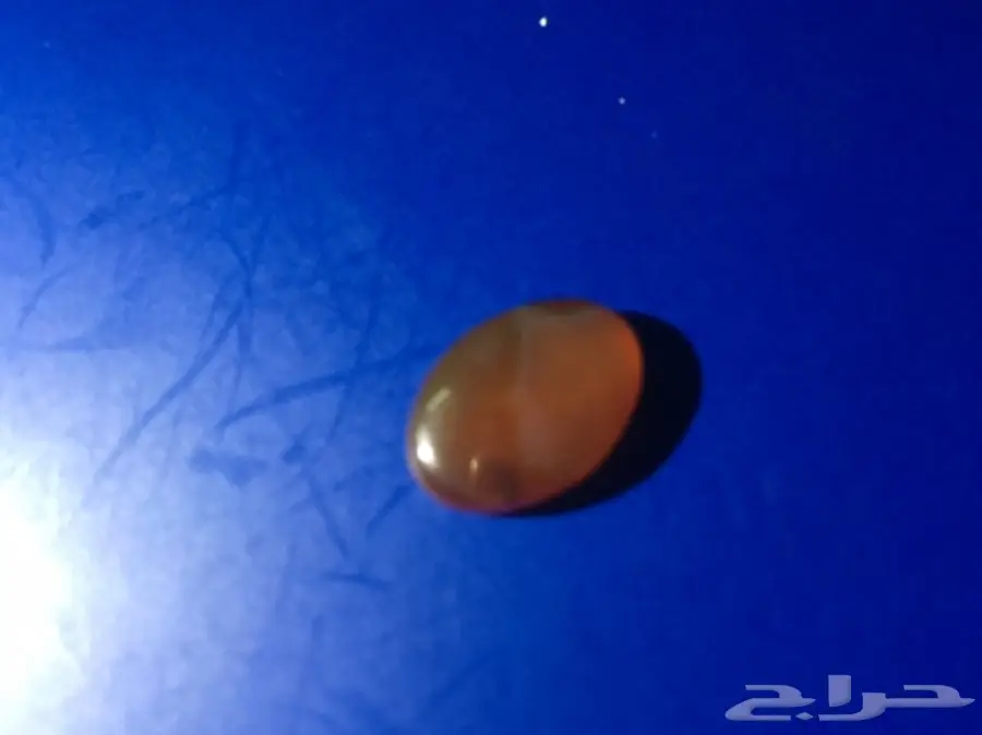 متجر  خواتم وعقيق يمني جمله وبلحبه درجه اولي  (image 13)