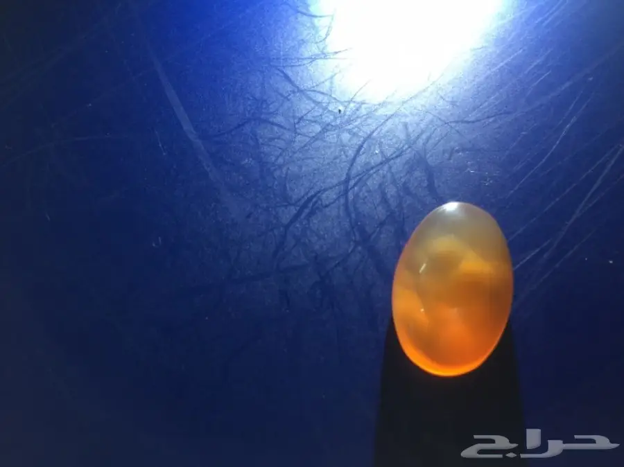 متجر  خواتم وعقيق يمني جمله وبلحبه درجه اولي  (image 14)