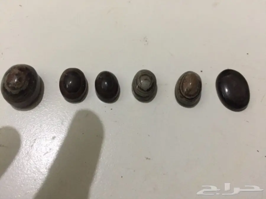 متجر  خواتم وعقيق يمني جمله وبلحبه درجه اولي  (image 20)