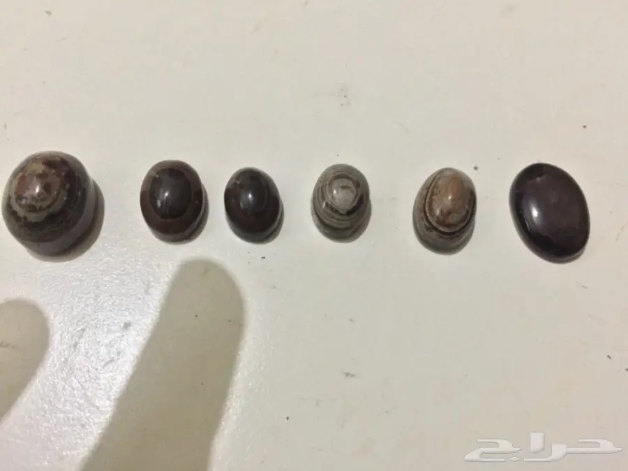 متجر  خواتم وعقيق يمني جمله وبلحبه درجه اولي  (image 21)