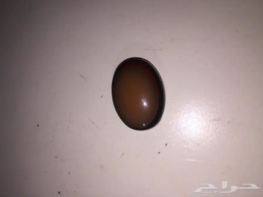 متجر  خواتم وعقيق يمني جمله وبلحبه درجه اولي  (image 25)