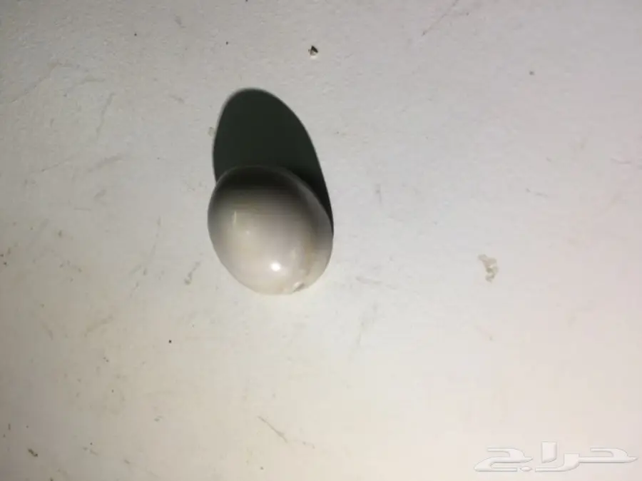 متجر  خواتم وعقيق يمني جمله وبلحبه درجه اولي  (image 33)