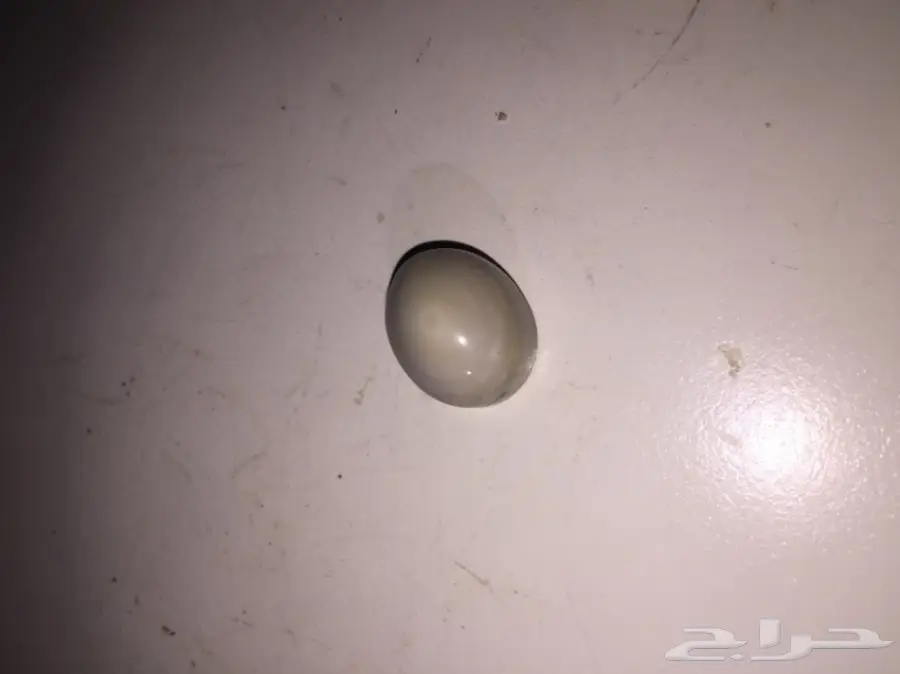 متجر  خواتم وعقيق يمني جمله وبلحبه درجه اولي  (image 34)