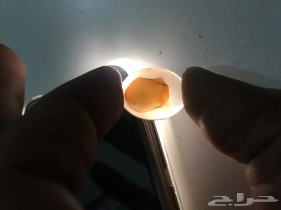 متجر  خواتم وعقيق يمني جمله وبلحبه درجه اولي  (image 62)