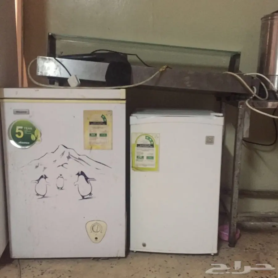 ثلاجات وغازات واله شاورما للبيع  (image 16)