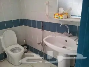 تسليك مجاري تسليك صرف رش مبيدات