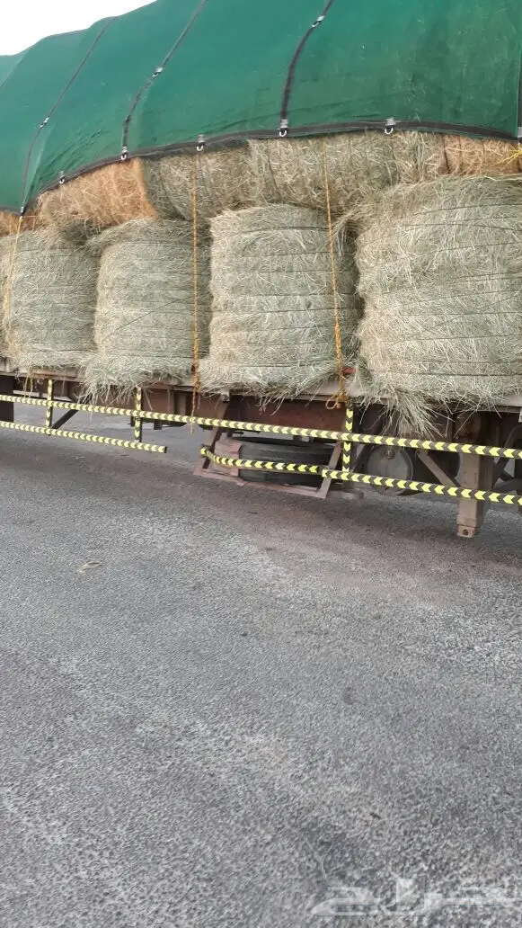 رودس للبيع الجنادريه (image 1)