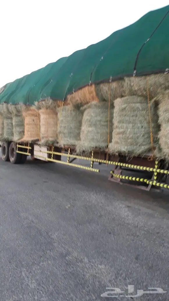 رودس للبيع الجنادريه (image 2)