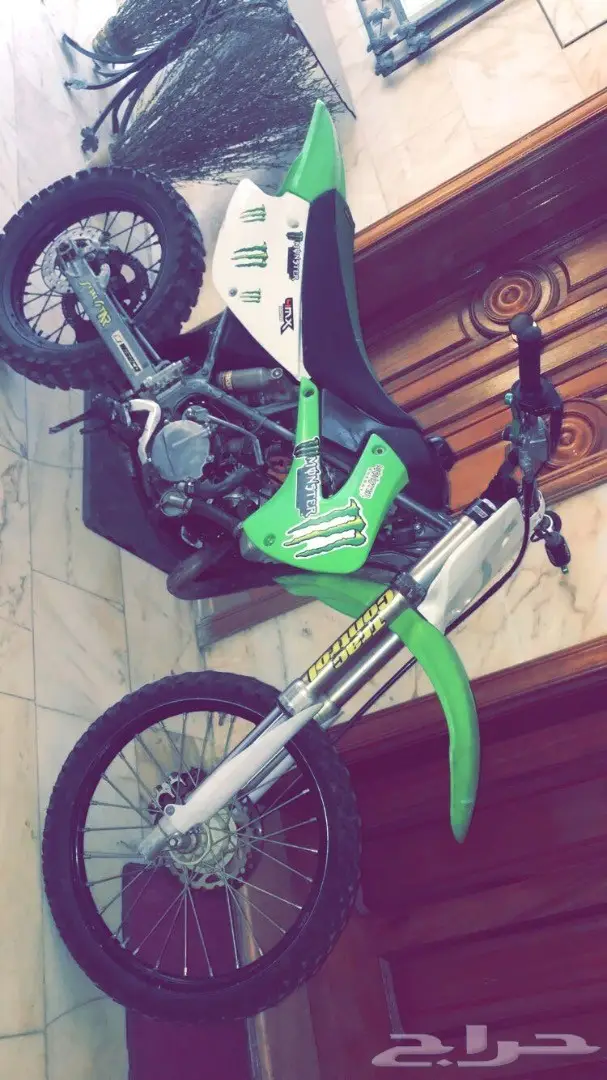 دباب صحراوي كوزاكي للبيع  (image 1)