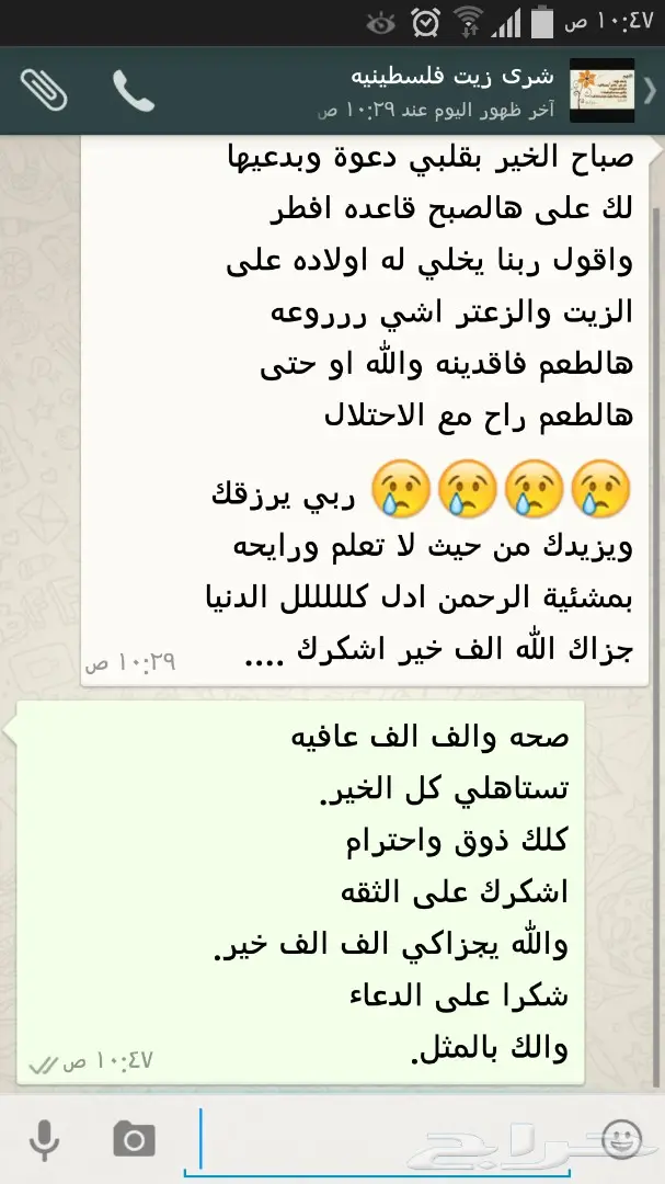 زيت زيتون فلسطيني أصيل - عصرة أولى (image 39)