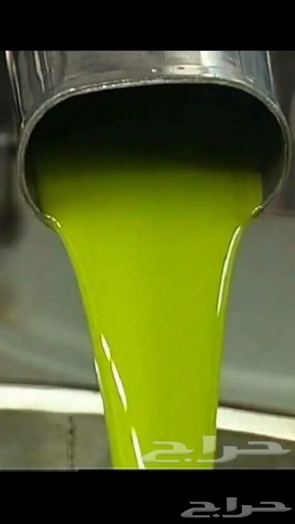 زيت الزيتون البلدي الفلسطيني: نكهة الأرض المقدسة (Image 1)