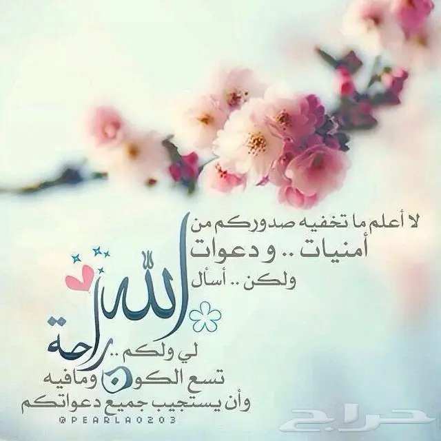 ضروري وهام جدا لاي احد يفهم بالتعقيب 