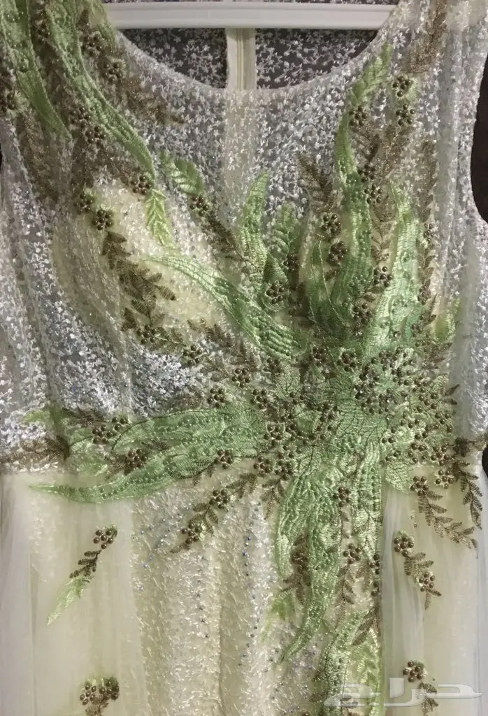 فستان سهرة انيق و فخم و جديد  (image 1)