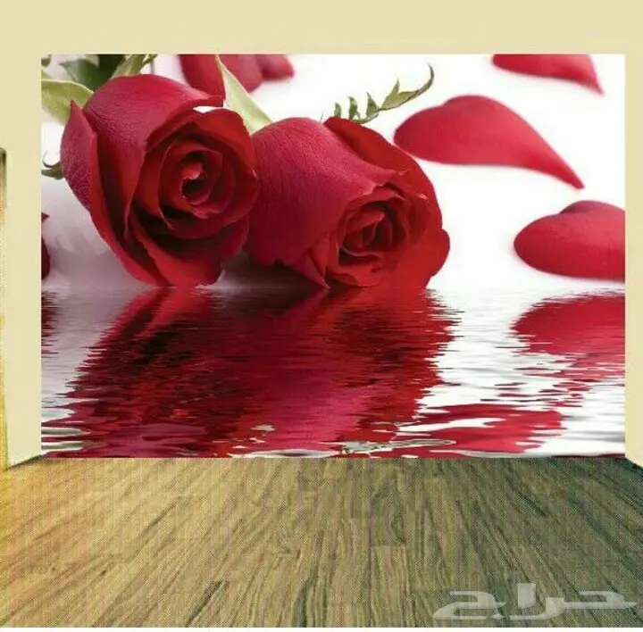 دهانات و ديكورات عالية الدقة - ترميم و عزل و ورق جدران (image 8)