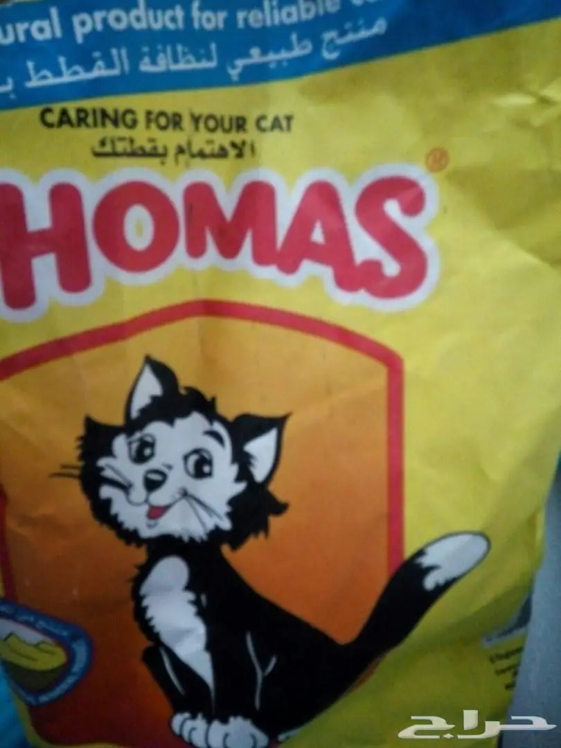 قط ذكر لطيف عمره سنة - فرصة لا تُفوّت!